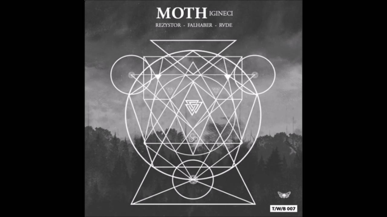 Moth - Disued Cella [T/W/B]