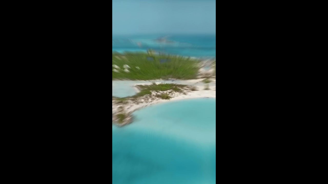The Fyre Festival The Ultimate Marketing Disaster