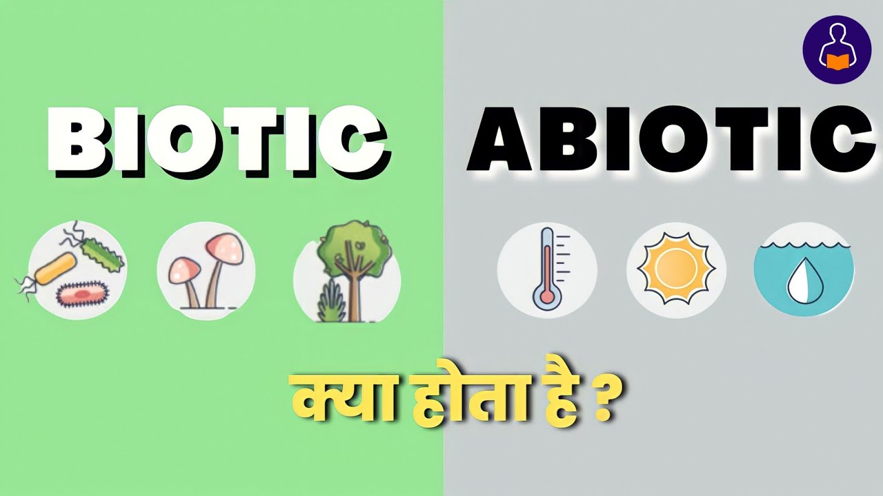 abiotic and biotic factor | biotic and abiotic factor in ecosystem| abiotic| biotic #biotic#abiotic