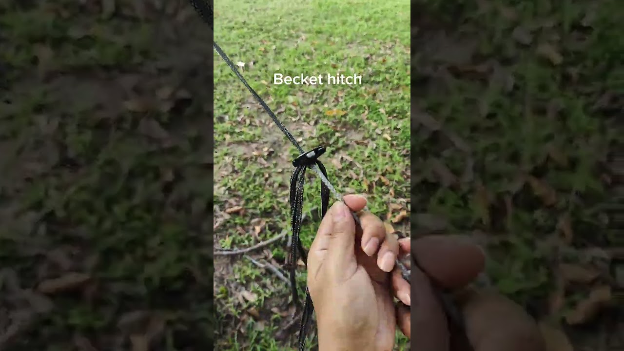 tree strap + Becket hitch + hammerhead shackle