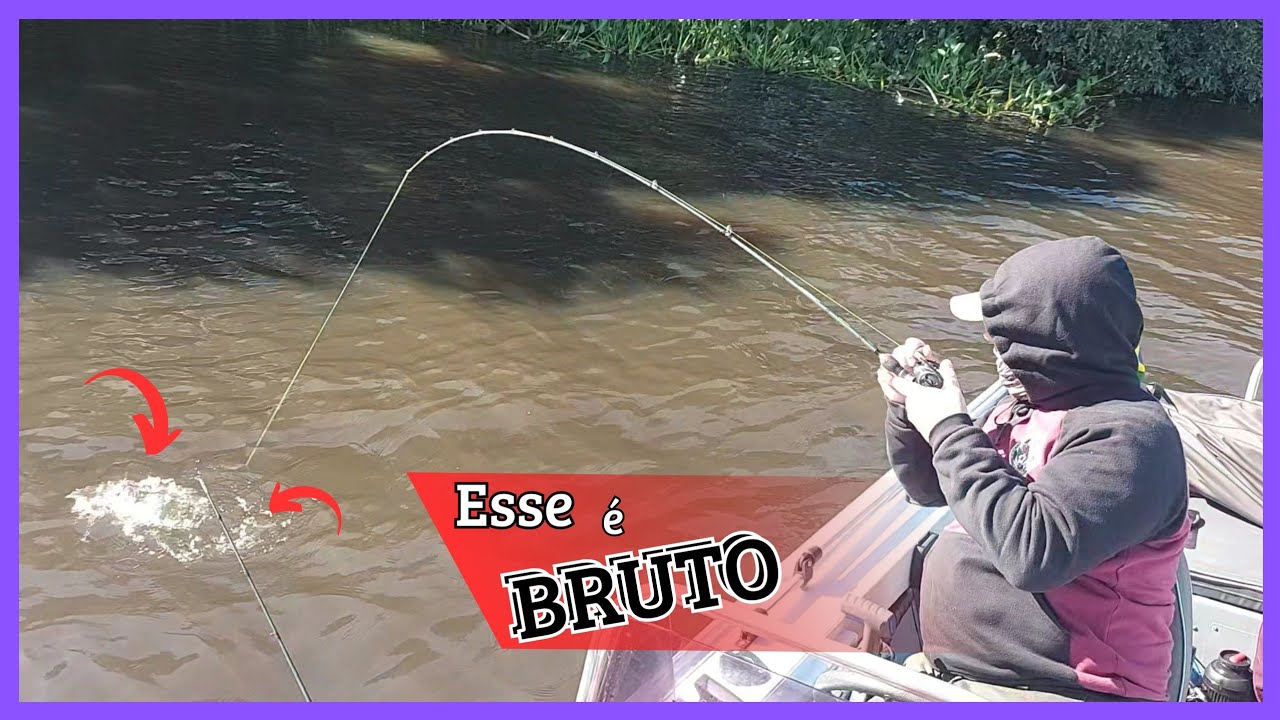 📍Lagoa do Casamento |💥saiu só os brutos no anzol  #EquipeRotaDoPescador