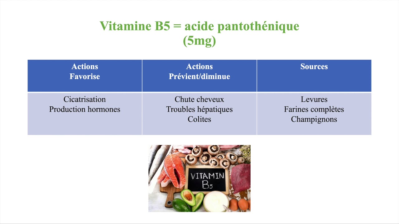 Nutrition - Les vitamines