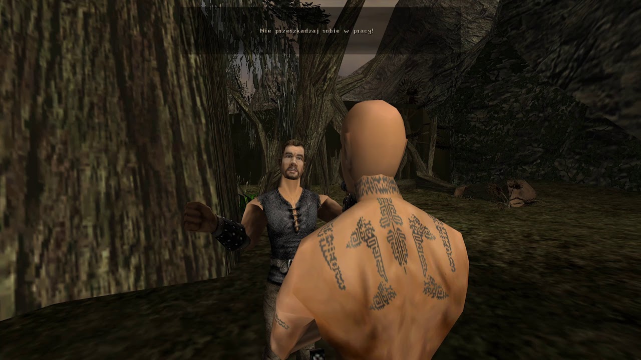 Zagrajmy w Gothic, 11: Zbieranie zbiorów bagiennego ziela