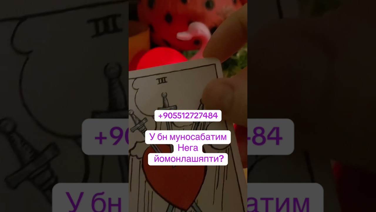 У БН НЕГА МУНОСАБАТИМ СОВУК БОЛЯПТИ?
