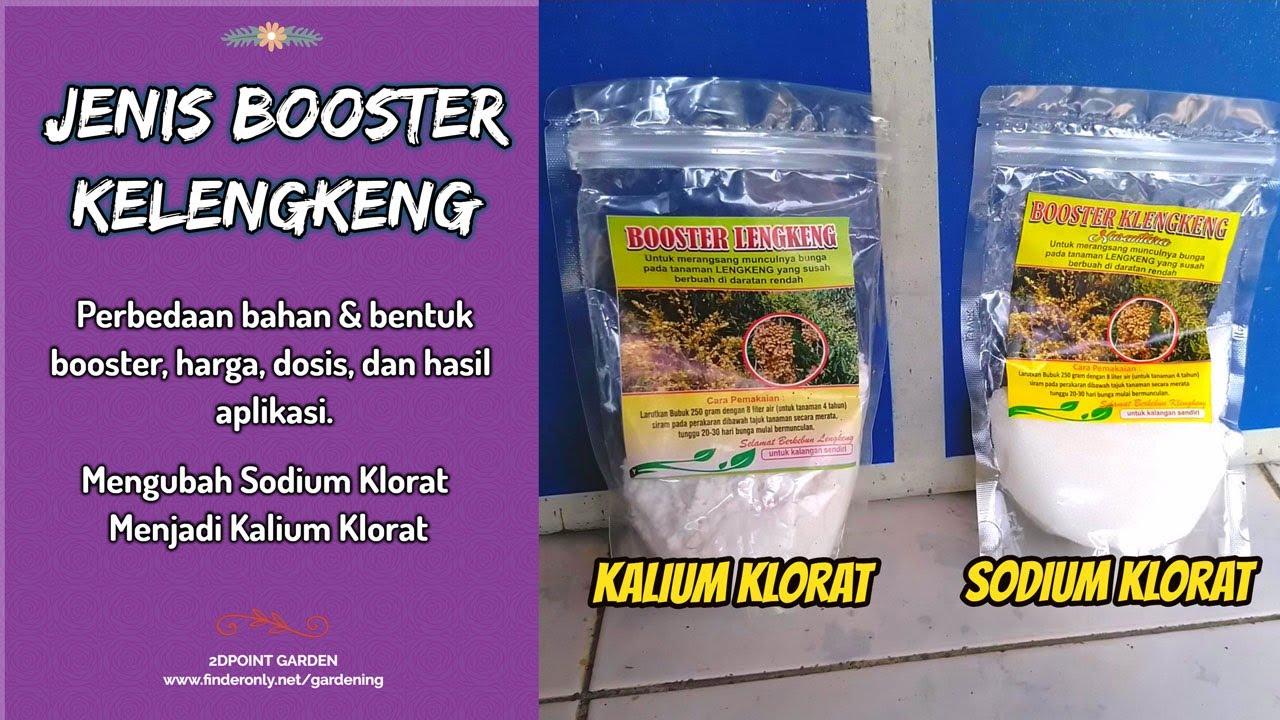 Beda Booster Kelengkeng Kalium Klorat VS Sodium Klorat, Bagus Mana?