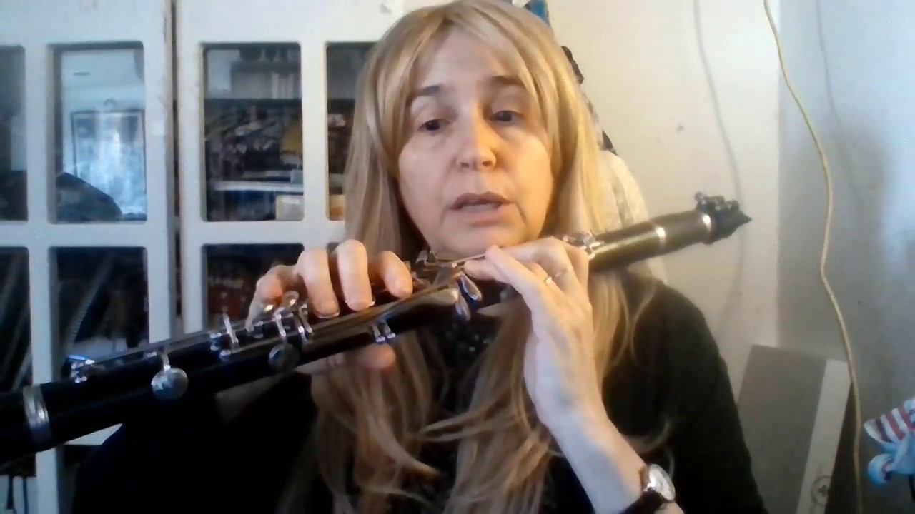 Bundy Clarinet for Rent or Sale Plays like a professional horn!!