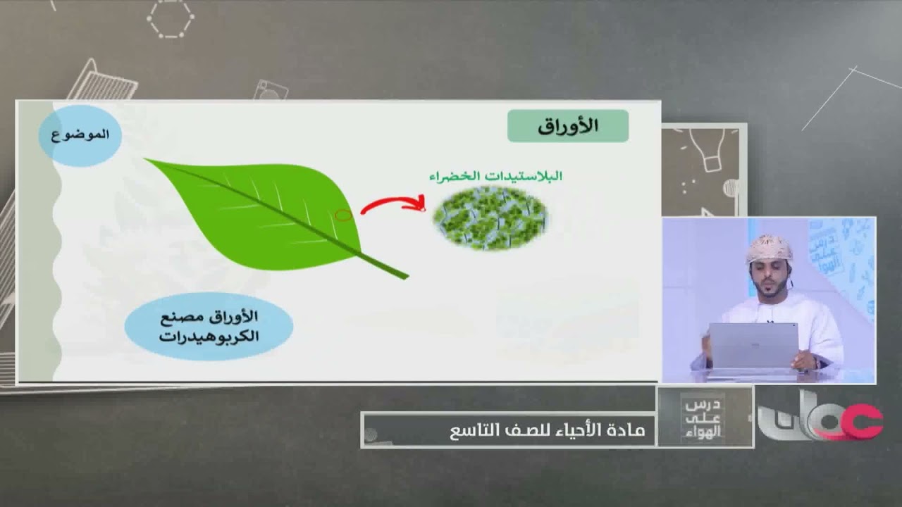شرح درس | الأوراق للصف التاسع أحياء الفصل الثاني