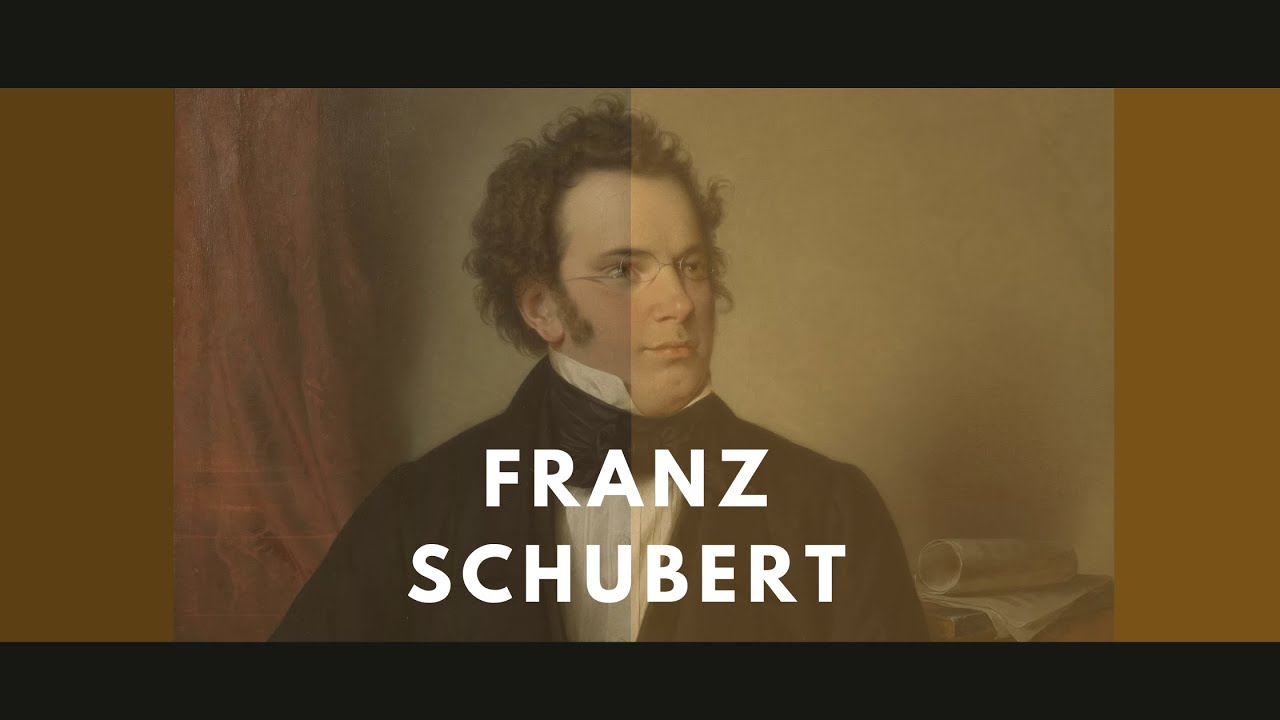 Franz Schubert - una biografia: la sua vita e i suoi luoghi (documentario)