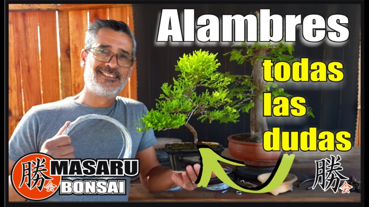 COMO EMPEZAR UN BONSAI / Tema, ALAMBRADO, COMO Y PORQUE ALAMBRAR, QUE ALAMBRE USAR, Y HASTA CUANDO !