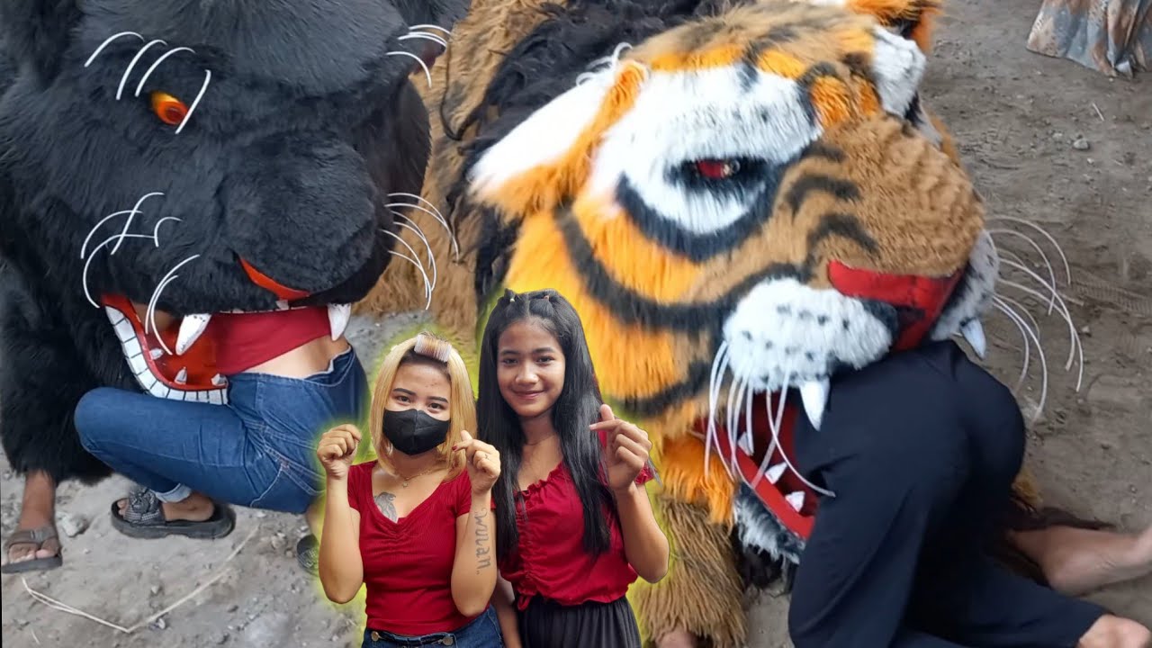 Barongan Macan Makan Cewek New Pandawa Di Desa Tangkis Guntur Demak