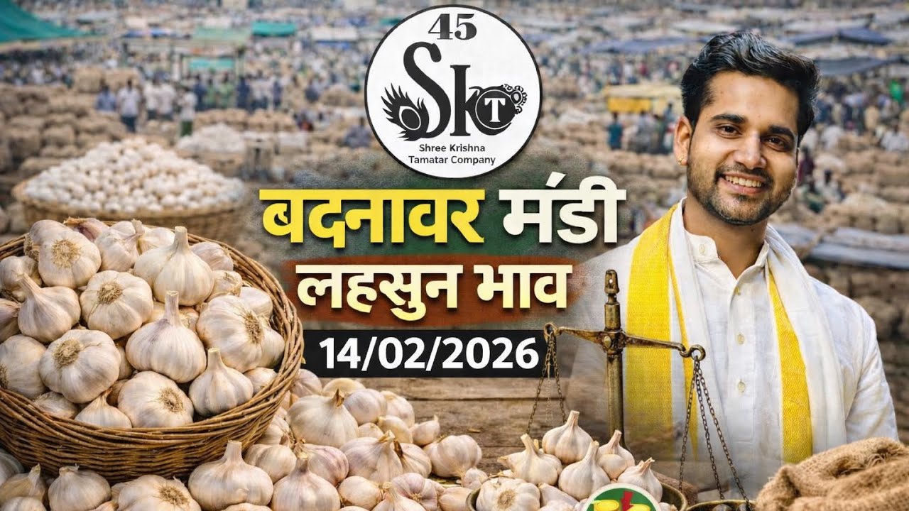 बदनावर मंडी भाव |दिनांक 14 फरवरी 2026 |लहसुन भाव|#daily #streetfood #indoremanditazabhav #garlic 