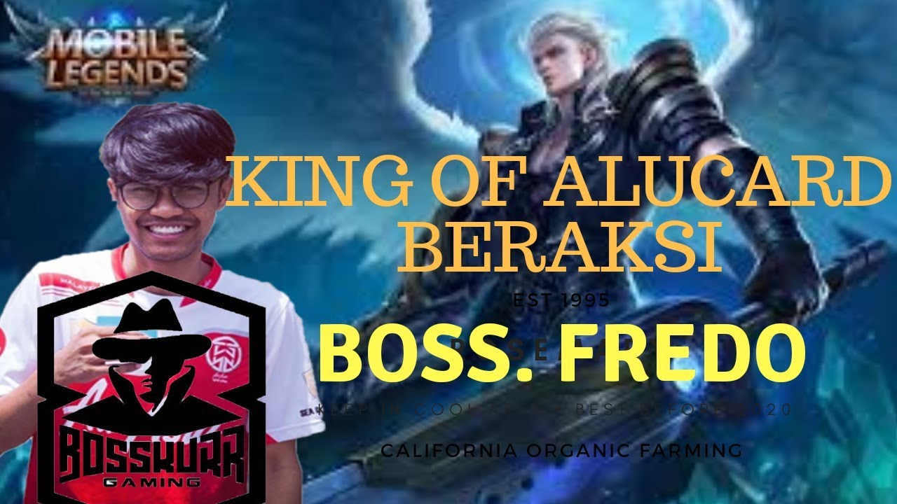 KING OF ALUCARD BERAKSI. FREDO PICK ALUCARD FULL SQUAD BOSSKUR
