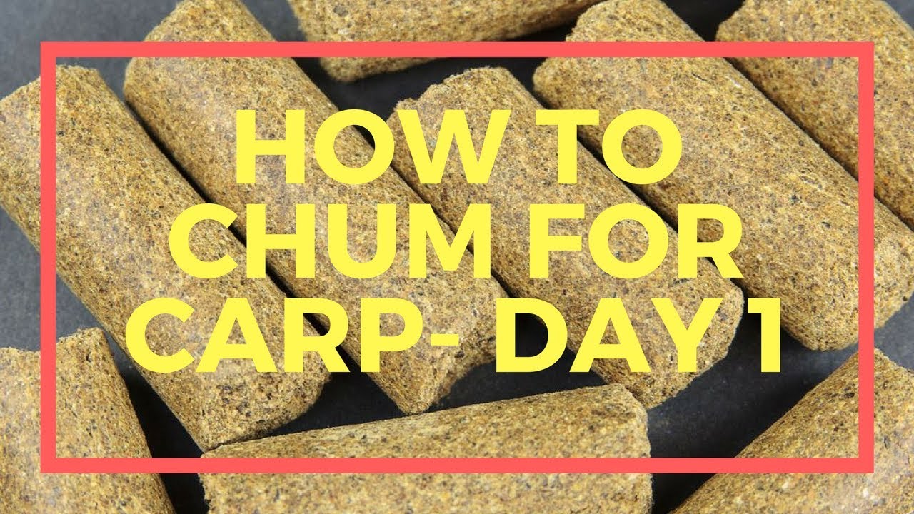 How to Chum and Bait For Carp- Day 1