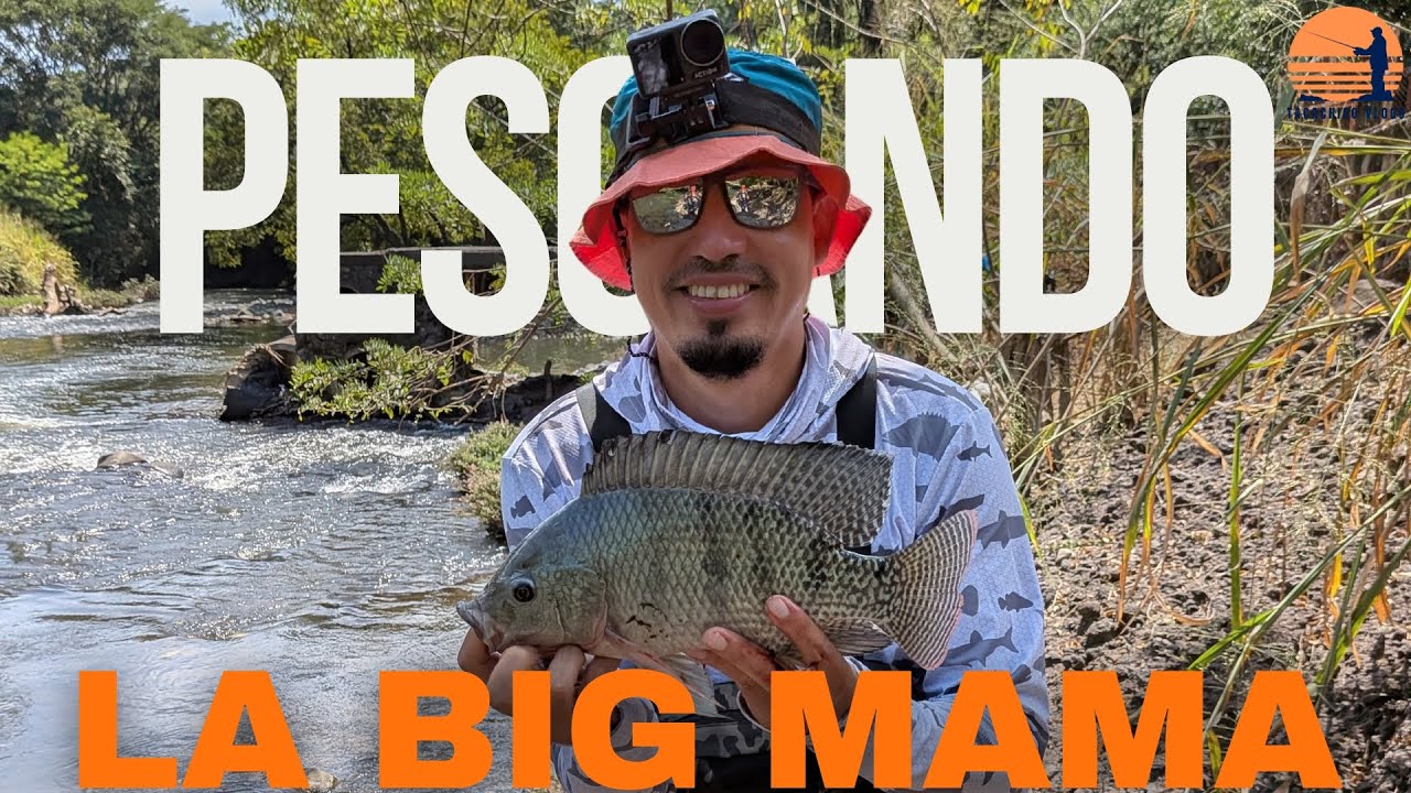 ¡Pesca Épica! Sacamos La MAMA de las TILPIAS del Rio 💥🎣🐠