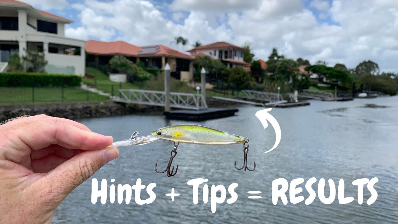 How I Fish THE GOLD COAST Canals For MANGROVE JACKS