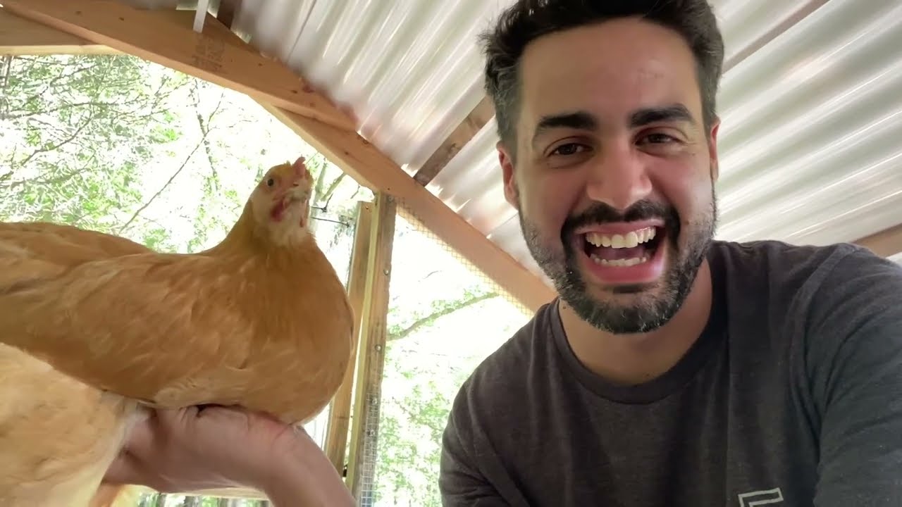 Chicken Coop Tour | Meet Our Chickens | Set Apart Farm & Gardens | Chicken Coop Update