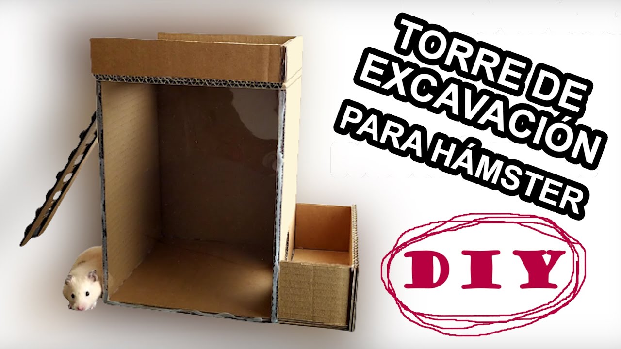 Torre de Excavación para Hámster Casera | Digging Tower Hamster DIY