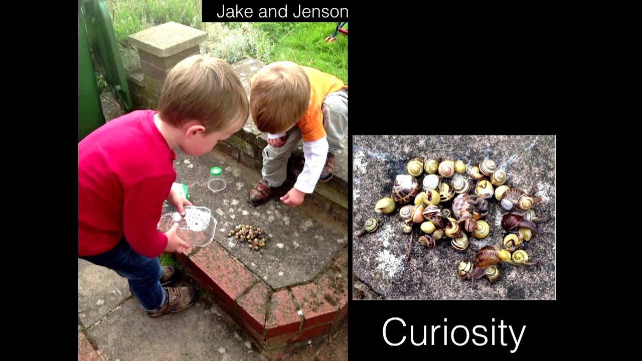 Children as Ideas Makers | Debi Keyte-Hartland | TEDxBrum