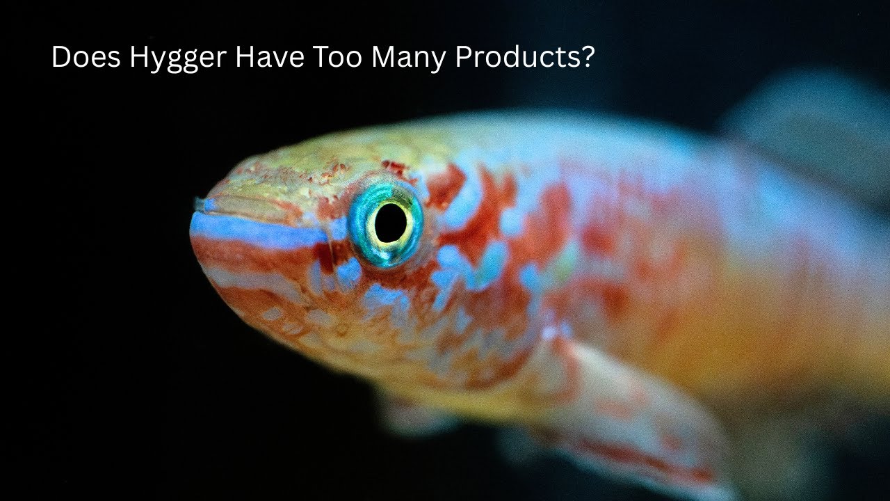What do we think of Hygger? Random industry news, ranting about my fish struggles, bb pink crayfish?
