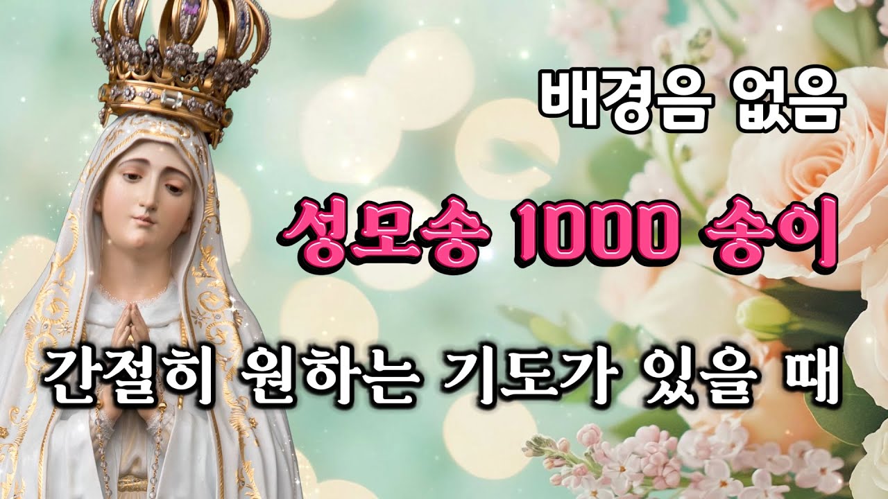 🙏 성모송 1000 번 | 배경음 없음 | 간절히 원하는 기도가 있을 때 | 은총 | 마음의 평화 | 치유 | 자비 | 위로 | 잠잘 때 듣는 기도 | 중간광고없음