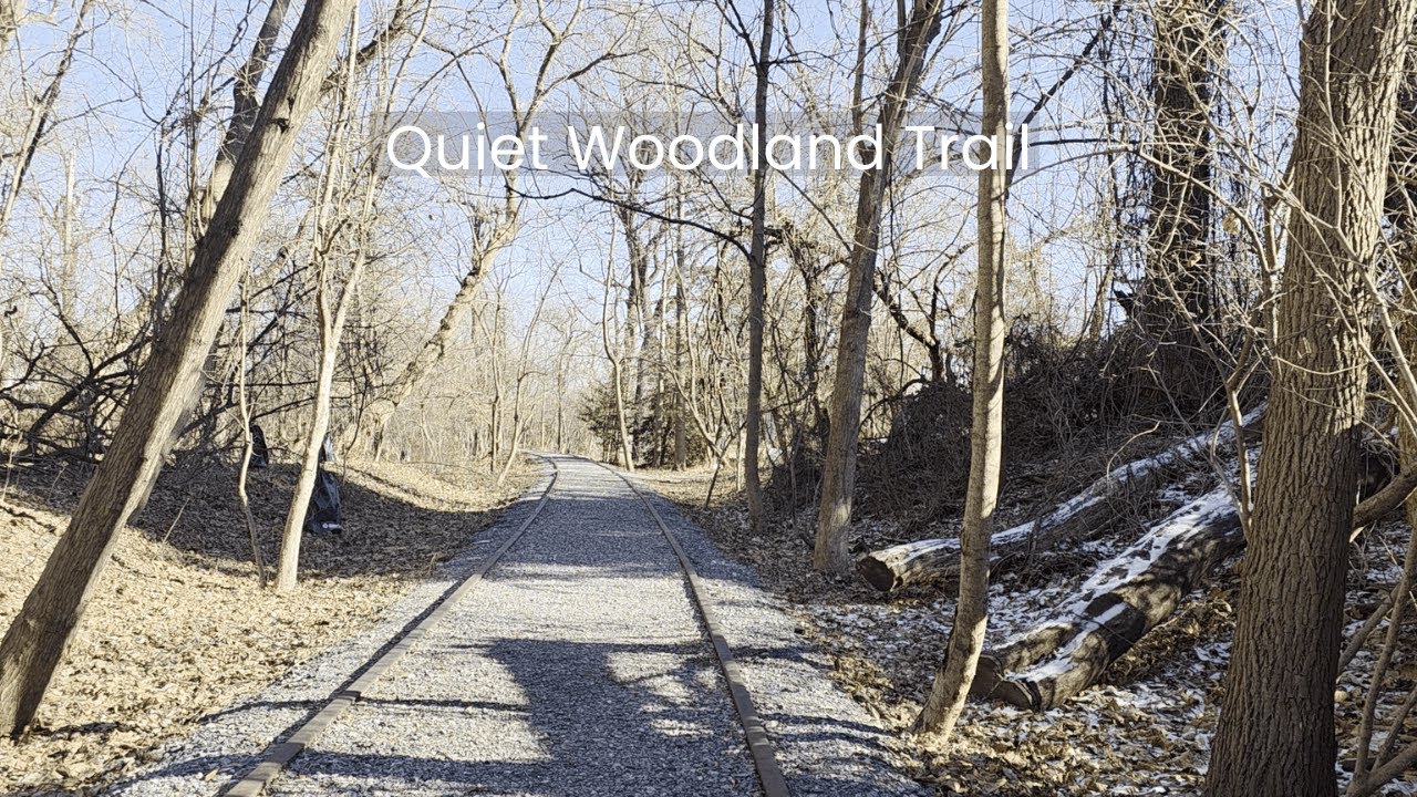 Quiet Woodland Rail Trail with Wind and Distant Gulls