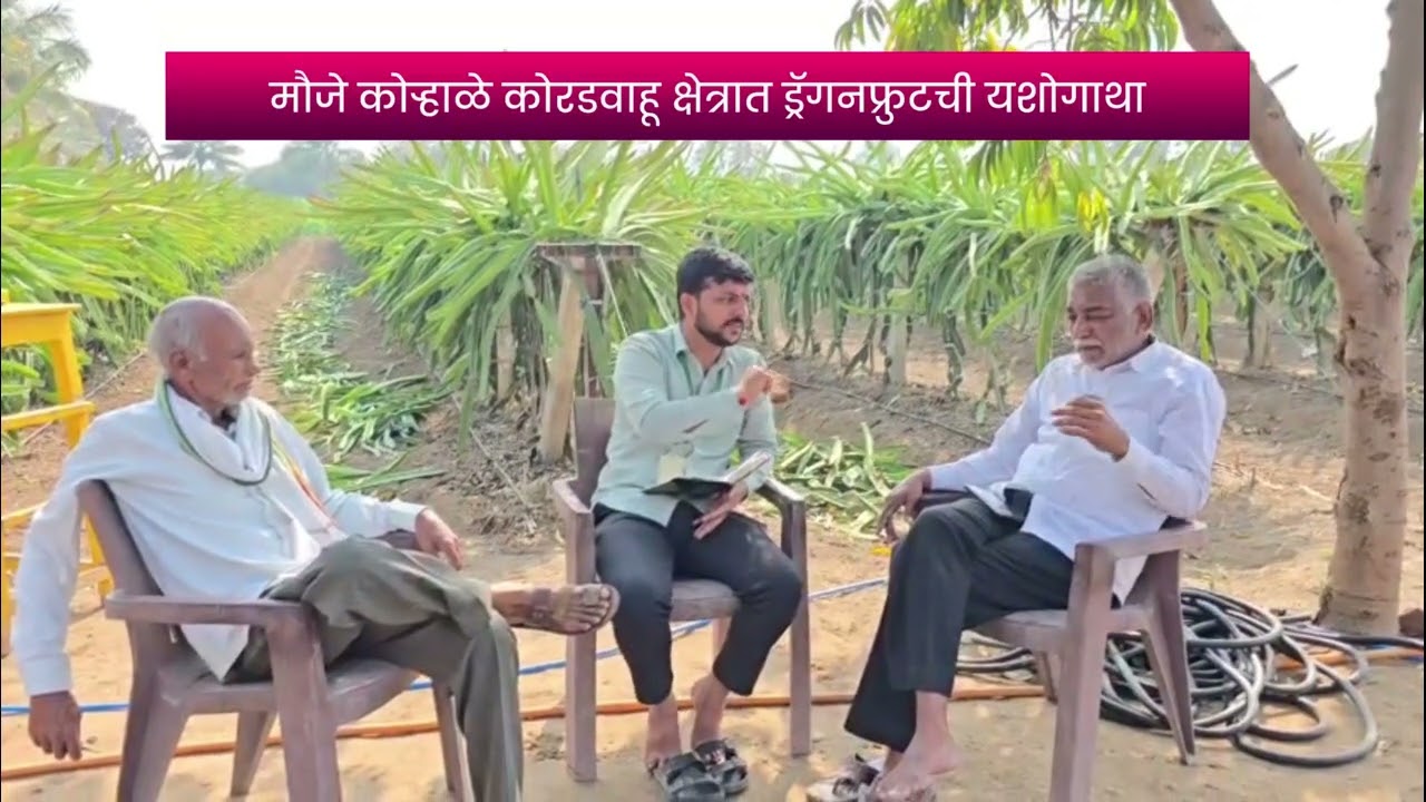 लोणी कृषी महाविद्यालयाच्या RAWE च्या कृषिदूतांन मार्फत प्रगतशील शेतकरी मुलाखत प्रात्यक्षित .