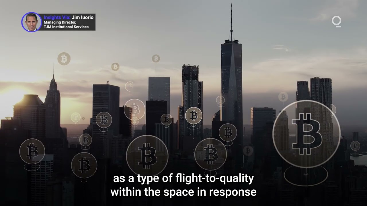 Why Is Bitcoin Dominating the Crypto Market?