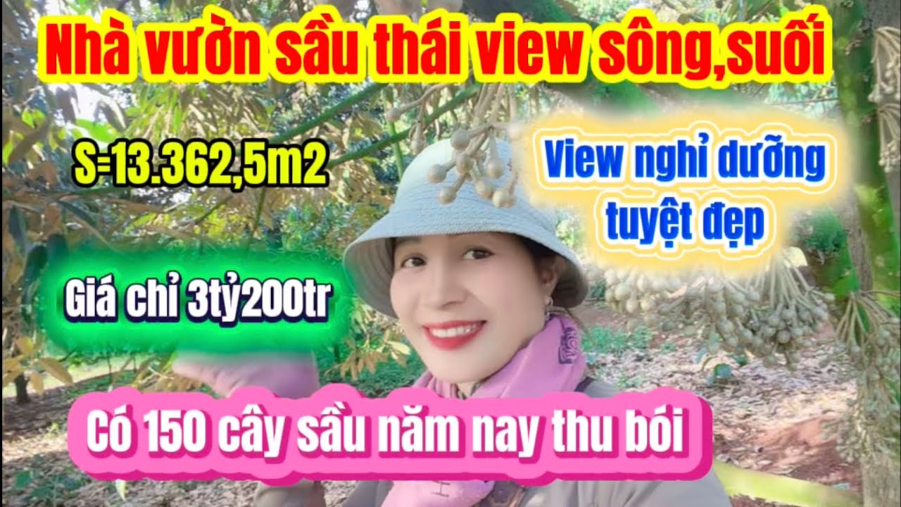 579🌹siêu phẩm Nhà vườn sầu thái view sông, suối năm nay thu bói, rất thích hợp để nghỉ dưỡng ạ