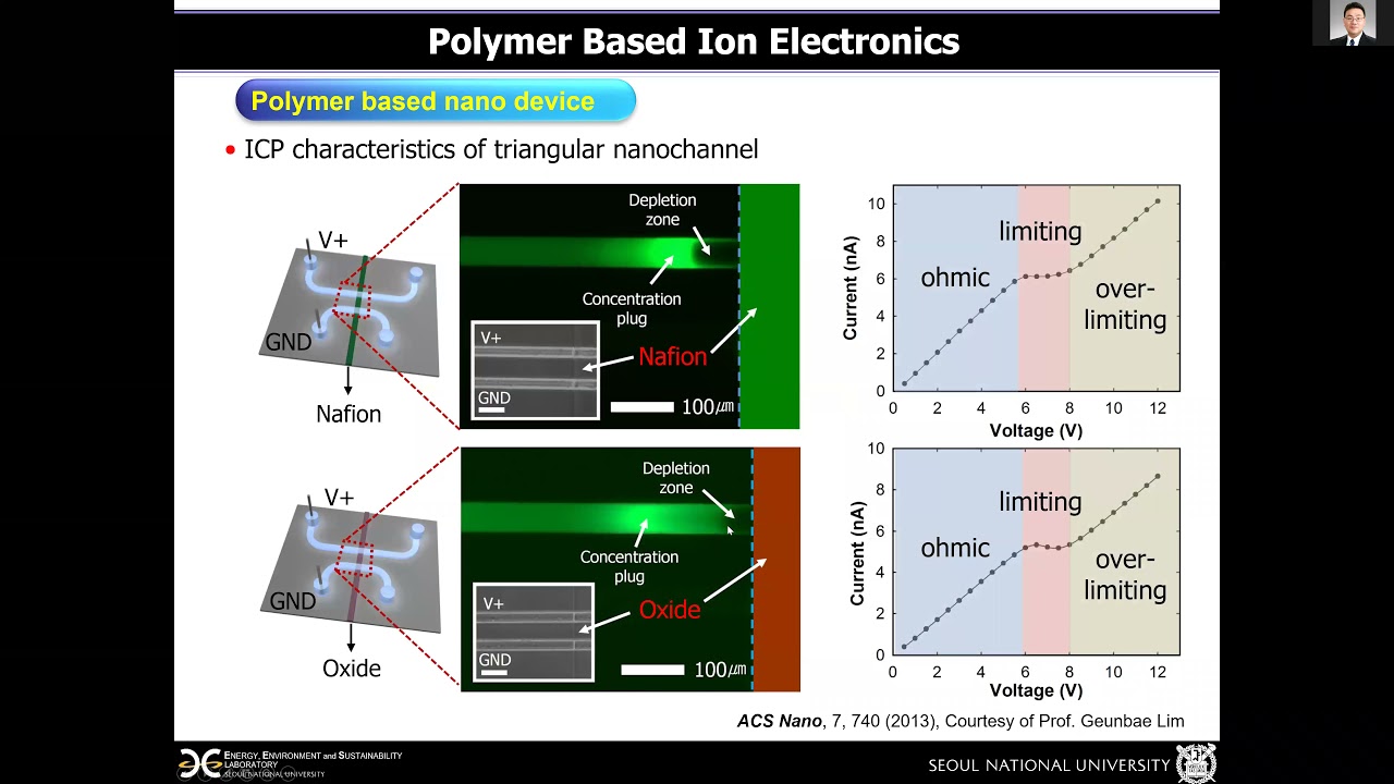 Tunable Ionic Transport for a Triangular Nanochannel in a Polymeric Nanofluidic System