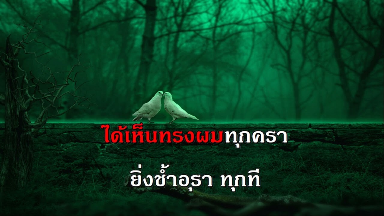 นางฟ้าที่ถูกลืม ปุ้ม อรวรรณ เพลงลูกกรุง คีย์ผู้หญิง คาราโอเกะ ช่วง เพลงบ้านเกิดเมืองนอน ดัง