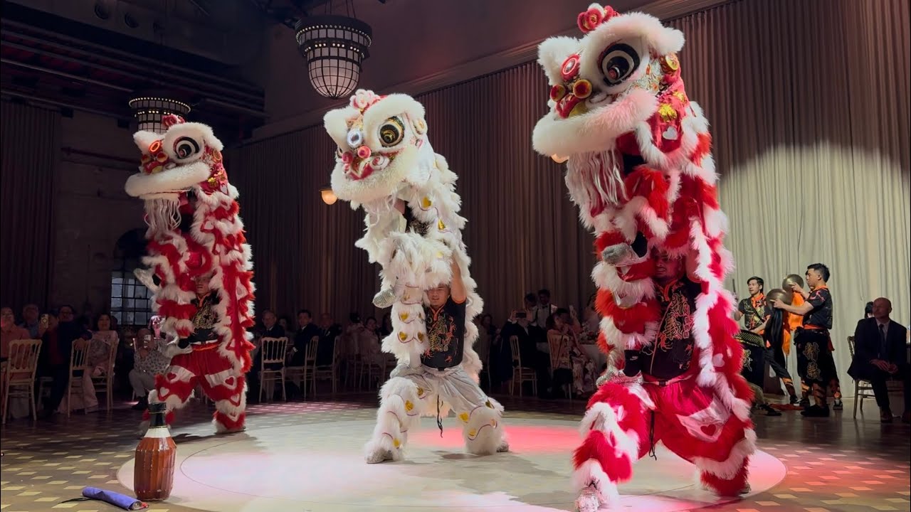 Wedding Performance JING YEE | Đoàn Lân Sư Rồng Tinh Nghĩa | 澳洲精義醒獅團 