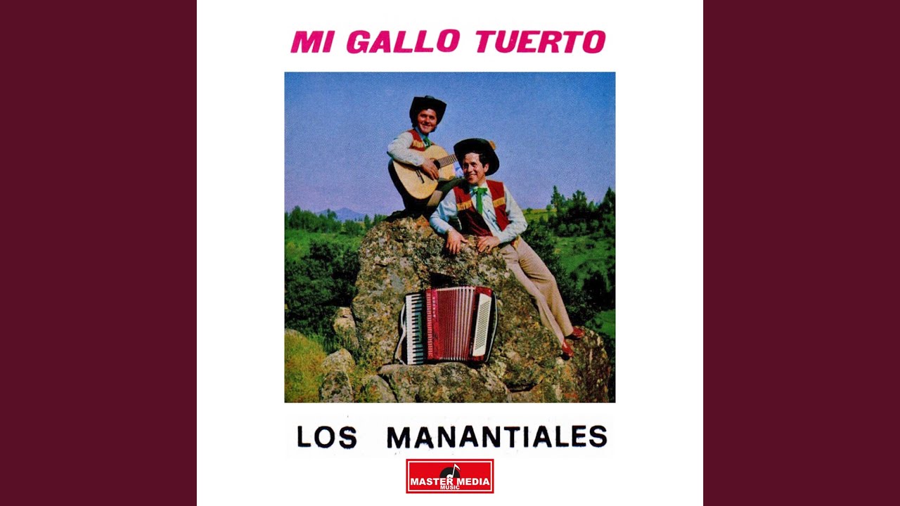 Voy a Olvidarte