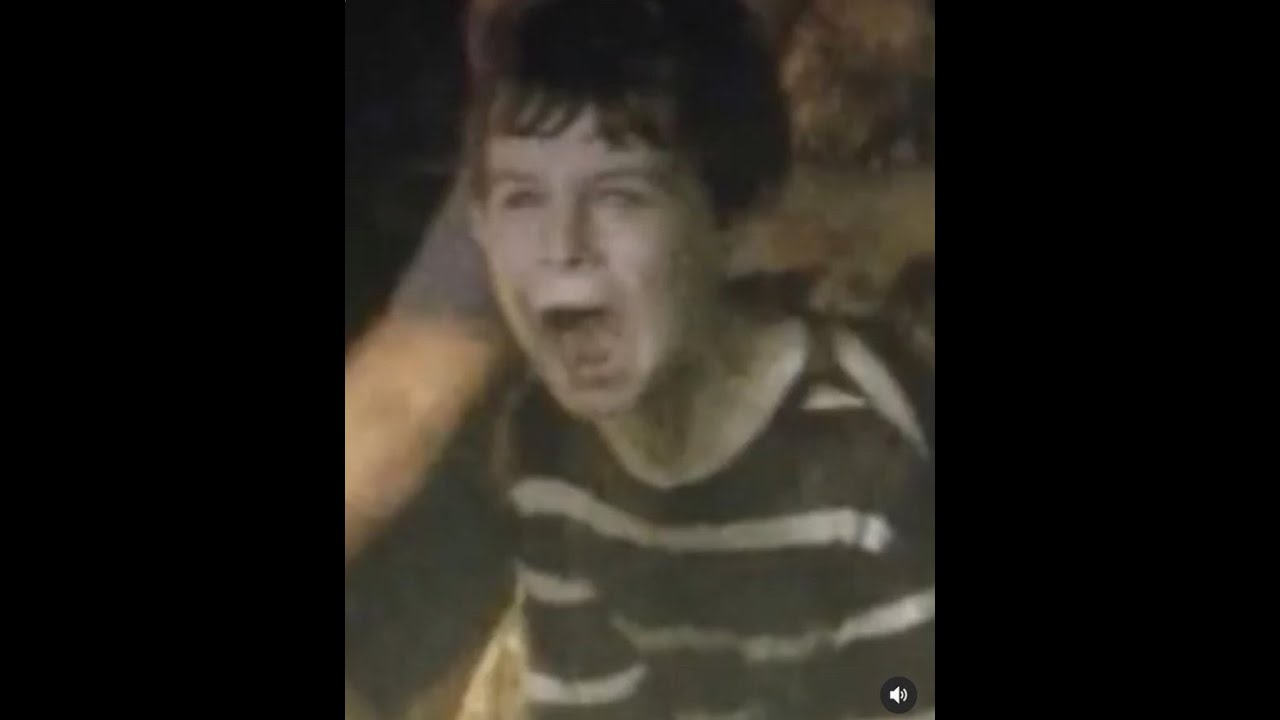 twd without context (1)