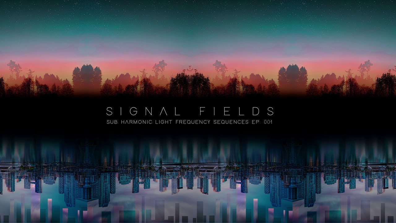 Signal Fields - Declaration (Original Mix)