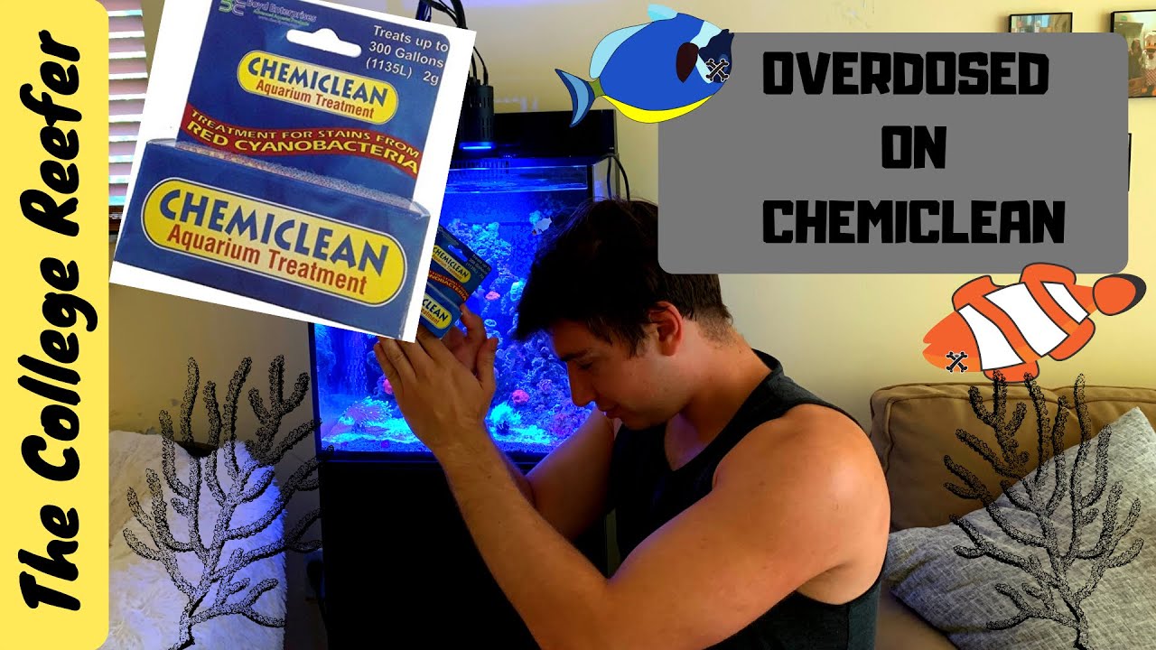 CHEMICLEAN REVIEW/ TANK UPDATE