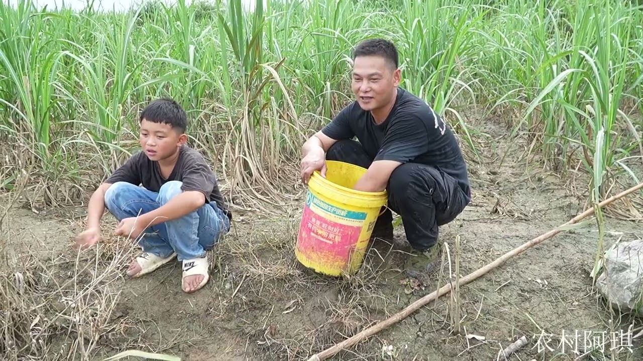 一场暴雨涨水抓鱼，阿勋邀阿琪扛着八米大抄网去抓鱼，收获真不错 #暴雨 #抓鱼
