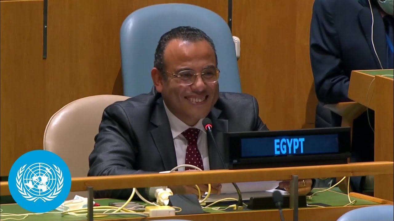 Misinformation, Sleepless Nights, & WhatsApp | What happened in 2021 GA 3rd Committee (Egypt)- Poem