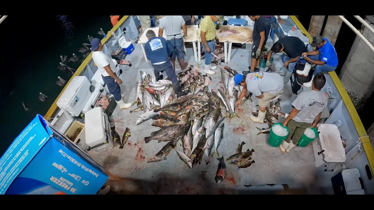 Tony Reyes Summer  4th of July Sportfishing