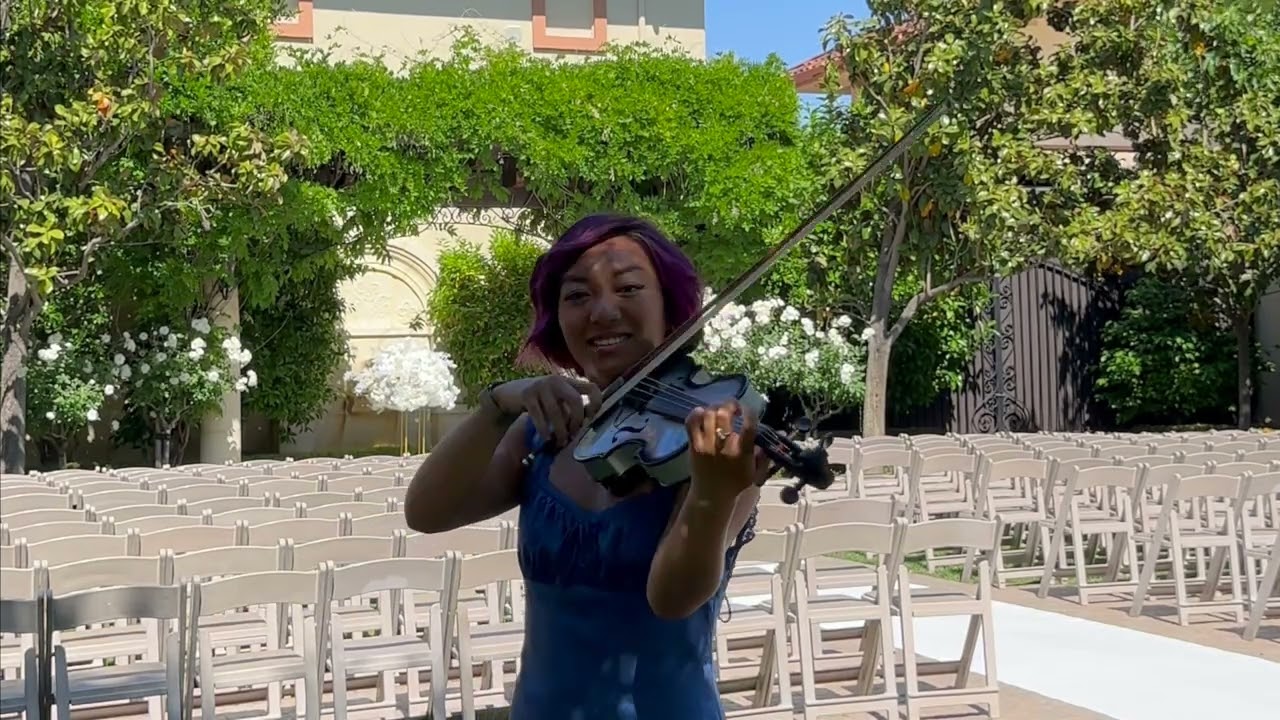 Monaco Violin Intro Bad Bunny/Love Languages SZA Violin Ending Wedding Ceremony Music Violin Covers