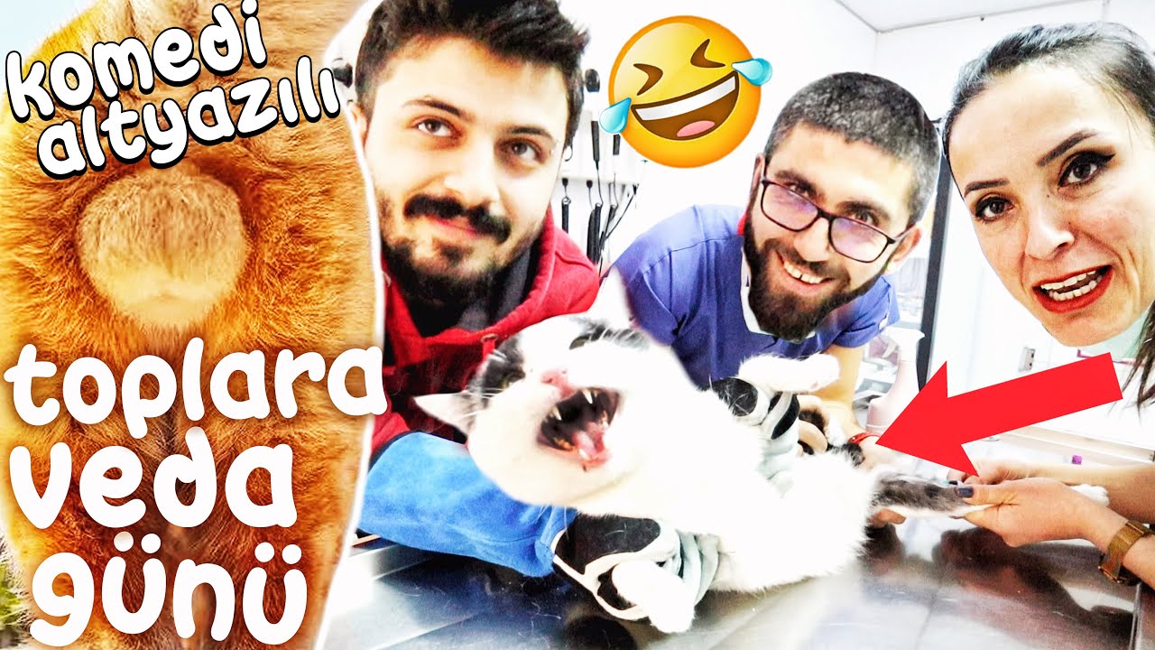 KOMEDİ ALTYAZILI (Toplu Sünnet) 🤣 VE ACİL VAKA