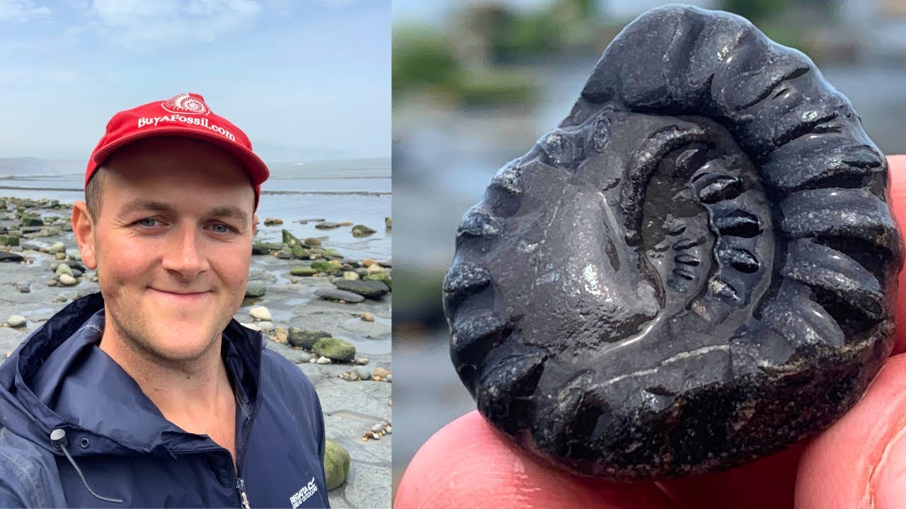 Rare Fossils At Boggle Hole - Robin Hoods bay