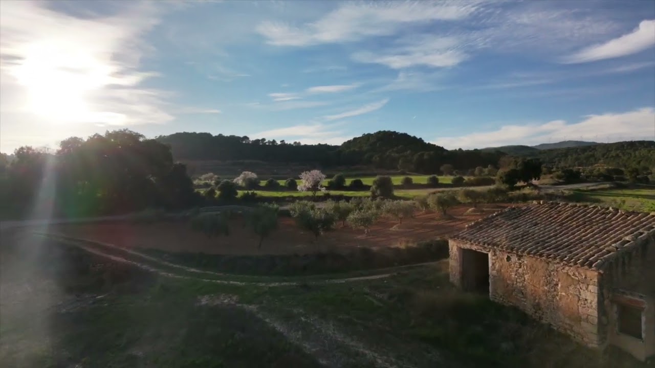 La primavera ja és a tocar.