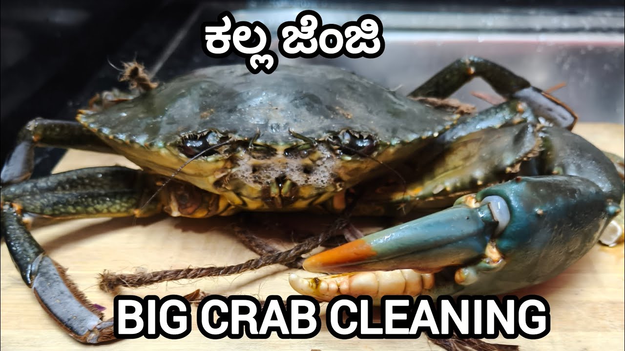 Big Crab | Crab Cleaning |Removing shells and Cleaning | #tuluvlog #mangaloreanfamily #crabcleaning 