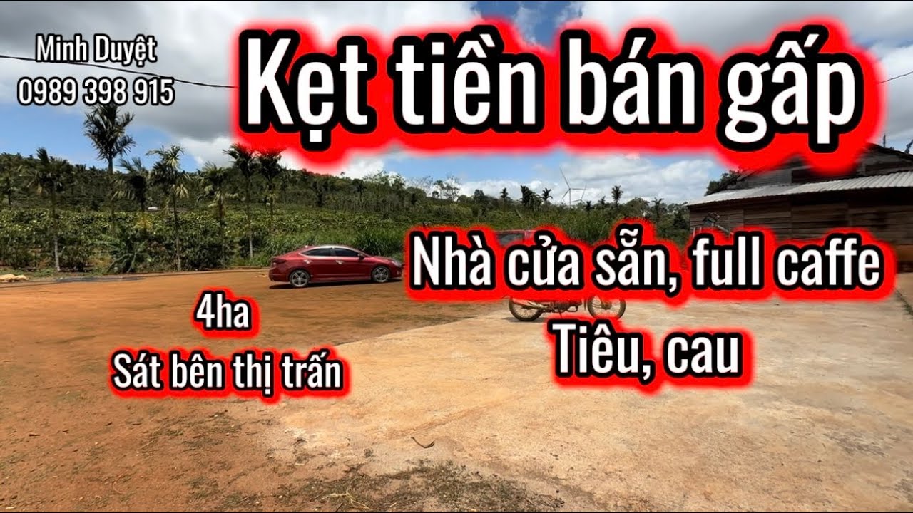 Lô 214| đất rẻ Dak Nông 4ha3 ngay thị trấn full kín caffe 200/ sào.