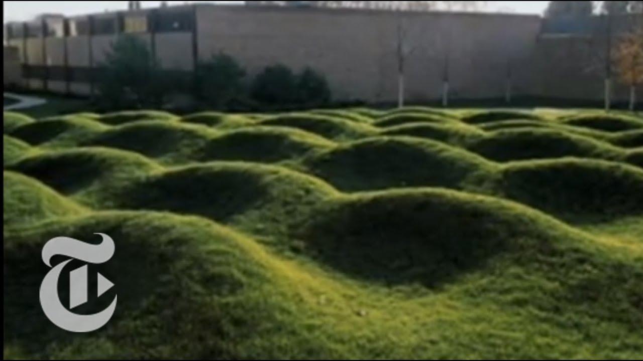Maya Lin's 