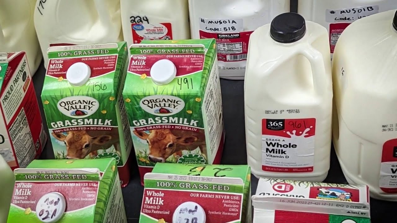 Consumer Reports finds &lsquo;forever chemicals&rsquo; in some store-bought milk