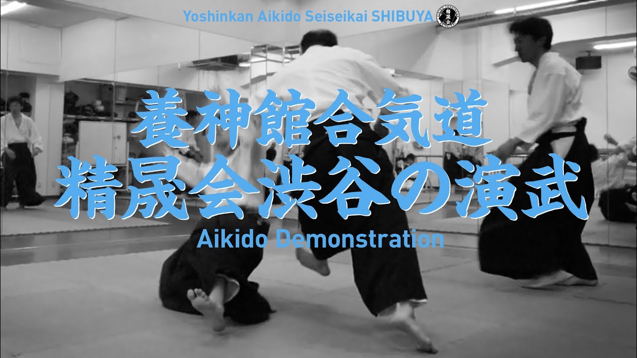 ［演武］養神館合気道 精晟会渋谷　- Aikido Demonstration -