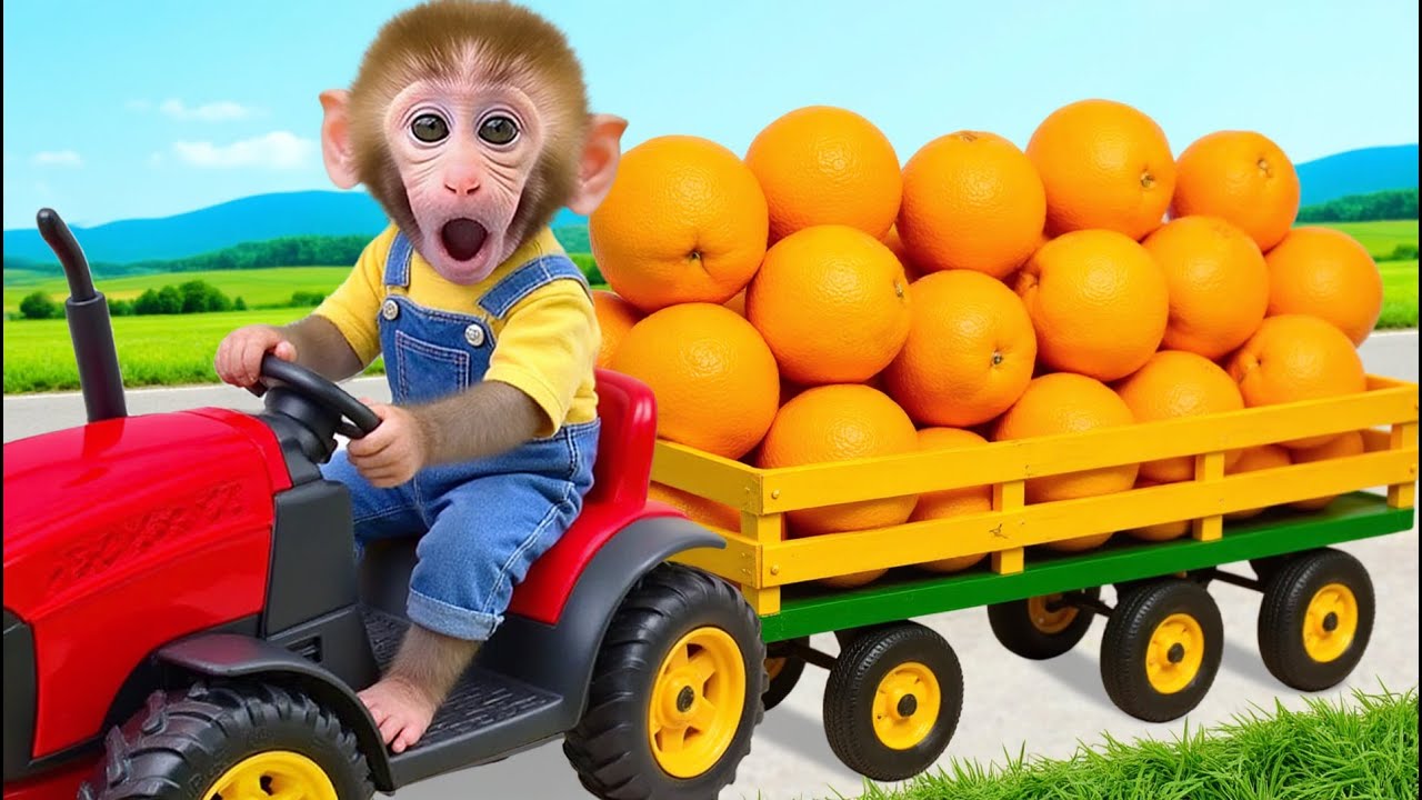 Обезьянка Бен продаёт фрукты и ест гигантский попкорн — MONKEY BUBU ESP