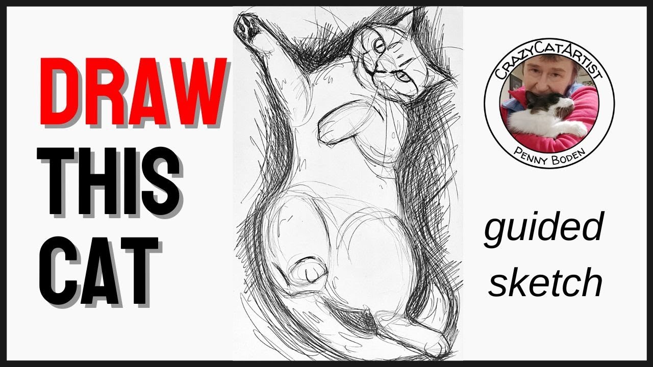 How to Draw a Cat Laying on its Back | Playful Showing Belly | Narrated Sketch in Mostly Real Time