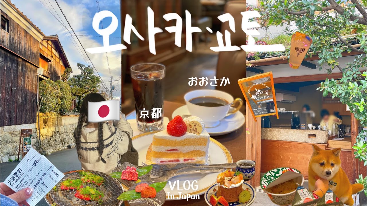 오사카 교토 3박4일 여행🇯🇵 먹고 또 먹는 소화불량 일정 | 일본만 갔다 하면 개 보러 가는 여성 어떠세요? | 규카츠 명란삼김 타코야끼 초밥 당고 오뎅 라멘 우설 우나기동